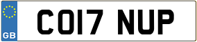 Trailer License Plate